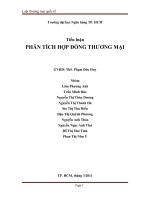 tiểu luận phân tích hợp đồng thương mại