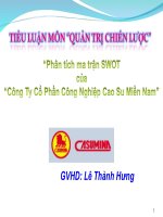 phân tích ma trận swot của công ty cổ phần công nghiệp cao su miền nam