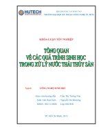 tổng quan về các quá trình sinh học trong xử lý nước thải thủy sản