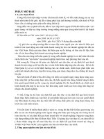 Hoàn thiện công tác kế toán tiêu thụ và xác định kết quả kinh doanh tại công ty TNHH Việt Nam NOK