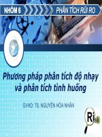 phương pháp phân tích độ nhạy và phân tích tình huống
