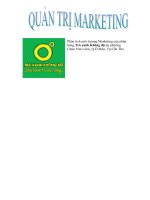 Phân tích môi trương Marketing của nhãn hàng Trà xanh Không độ