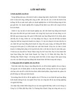 Hoàn thiện công tác kế toán tiêu thụ và xác định kết quả hoạt động sản xuất kinh doanh tại Công ty Cổ phần Dệt May Đầu tư Thương Mại Thành Công