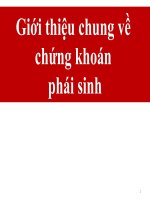 Chuyên đề  chứng khoán phái sinh