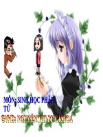 ứng dụng kỹ thuật pcr công nghệ sinh học