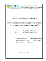 Phân tích tình hình tín dụng ngân hàng Vietcombank – chi nhánh Biên Hòa