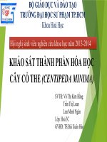 khảo sát thành phần hóa học cây cỏ the (centipeda minima)