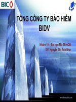 tổng công ty bảo hiểm bidv