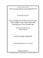 Nâng cao hiệu quả tín dụng tại Ngân hàng Nông nghiệp và Phát triển nông thôn chi nhánh Gia Cẩm, tỉnh Phú Thọ