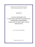 Đa dạng sinh học bướm (Lepidoptera) tại KBTTN Tà Đùng 2011 (ĐH KHTN Tp.HCM)