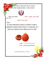 sự thay đổi hàm lượng lycopen và betacarotene trong lớp vỏ hạt và tinh dầu của trái gấc trong suốt thời gian lưu trữ