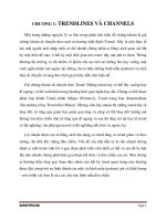 phân tích biểu đồ kỹ thuật chứng khoán