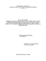 nghiên cứu khả năng sử dụng bã mía làm cơ chất dinh dưỡng nuôi trồng nấm bào ngư nhật