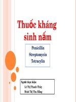 Bài giảng Thuốc kháng sinh
