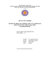 đánh giá hiệu quả phòng trừ của chitosan đối với tuyến trùng hạt tiêu tại bình phước