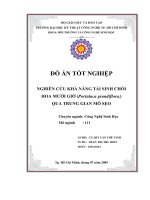 nghiên cứu khả năng tái sinh chồi hoa mười giờ qua trung gian mô sẹo