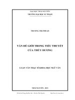 vấn đề giới trong tiểu thuyết của thùy dương