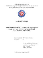 khảo sát tác động của một số dịch chiết compost lên tuyến trùng bướu rễ cây hồ tiêu ở invitro