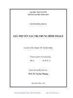 Giả thuyết giá trị trung bình Smale luận án thạc sĩ