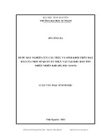 bước đầu nghiên cứu cấu trúc và sinh khối trên mặt đất của một số quần xã thực vật tại khu bảo tồn thiên nhiên khe rỗ, bắc giang