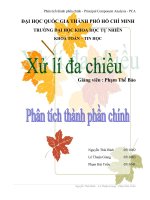 phân tích thành phần chính: principal component analysis - pca