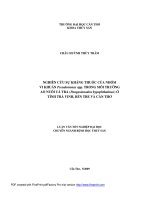 Nghiên cứu sự kháng thuốc của nhóm vi khuẩn pseudomonas SPP trong môi trường ao nuôi cá tra ở tình trà vinh, bến tre, cần thơ