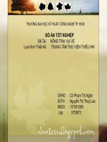 luận văn thiết kế nội thất nông trại vui vẻ