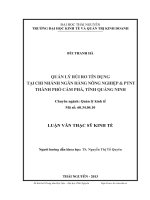 Quản lý rủi ro tín dụng tại Ngân hàng Nông nghiệp và phát triển nông thôn thành phố Cẩm Phả, tỉnh Quảng Ninh
