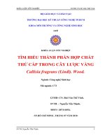 tìm hiểu thành phần hợp chất thứ cấp trong cây lược vàng callisia fragvan l