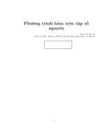 phương trình hàm trên tập số nguyên