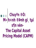 Chuyên đề 6 mô hình định giá tài sản vốn  CAPM