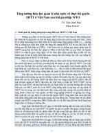 Tăng cường hiệu lực quản lý nhà nước về thực thi quyền SHTT ở việt nam sau khi gia nhập WTO
