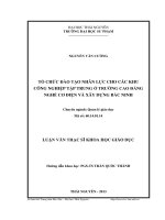 tổ chức đào tạo nhân lực cho cá khu công nghiệp tập trung ở trường cao đẳng nghề cơ điện và xây dựng bắc ninh