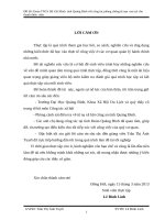 Đoàn TNCS hồ chí minh  tỉnh quảng bình với công tác phòng chống tệ nạn  ma tuý cho thanh thiếu  niên