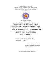 nghiên cứu khả năng tăng trưởng của một số vi sinh vật trên bề mặt cellulose vi khuẩn (bc-bacterial cellulose)