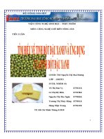 tìm hiểu về tinh bột đậu xanh và ứng dụng của tinh bột đậu xanh