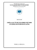 Tiểu luận KINH TẾ VI MÔ CHIẾN LƯỢC VỀ GIÁ CỦA HONDA VIỆT NAM VỚI DÒNG SẢN PHẨM WAVE ALPHA