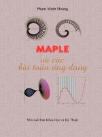 Maple và các bài toán ứng dụng