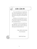 tổng quan tài liệu về ứng dụng của gelatin trong công nghệ thực phẩm