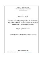 nghiên cứu hiện trạng và đề xuất giải pháp phát triển trồng cây lâm nghiệp phân tán tại tỉnh bắc giang