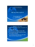 bài giảng đầu tư quốc tế chương các tnc trong hoạt động đầu tư quốc tế