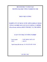 Nghiên cứu sử dụng nước giếng khoan nhằm nâng cao hiệu quả sản xuất giống cá rôphi (oreochromis niloticus) đơn tính đực vụ thu   đông