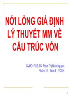Báo cáo môn tài chính tiền tệ NỚI LỎNG GIẢ ĐỊNH LÝ THUYẾT MM VỀ CẤU TRÚC VỐN