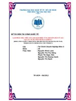 Tiểu luận TÀI CHÍNH QUỐC TẾ LẠM PHÁT MỤC TIÊU CÓ LÀM GIẢM HIỆU ỨNG TRUYỀN DẪN TỶ GIÁ TẠI CÁC NƯỚC MỚI NỔI HAY KHÔNG?