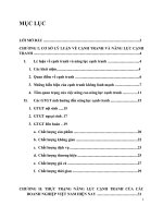 Giải pháp nâng cao năng lực cạnh tranh cho các doanh nghiệp Việt Nam hiện nay