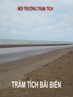 bài giảng môi trường trầm tích phần i trầm tích bãi biển