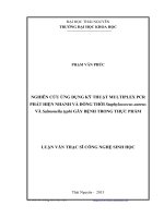 nghiên cứu ứng dụng kỹ thuật multiplex pcr phát hiện nhanh và đồng thời staphylococcus aureus và salomonella typhi gây bệnh trong thực phẩm