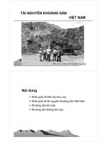 bài giảng địa chất việt nam chương vi khoáng sản