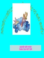 Những cuộc cách mạng tư sản đầu tiên Lịch sử 8