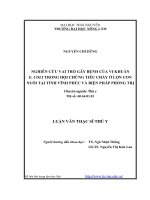 nghiên cứu vai trò gây bệnh của vi khuẩn e.coli trong hội chứng tiêu chảy ở lợn con nuôi tại tỉnh vĩnh phúc và biện pháp phòng trị